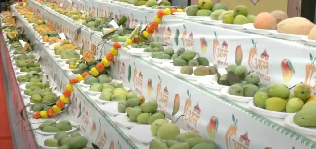 mango loot